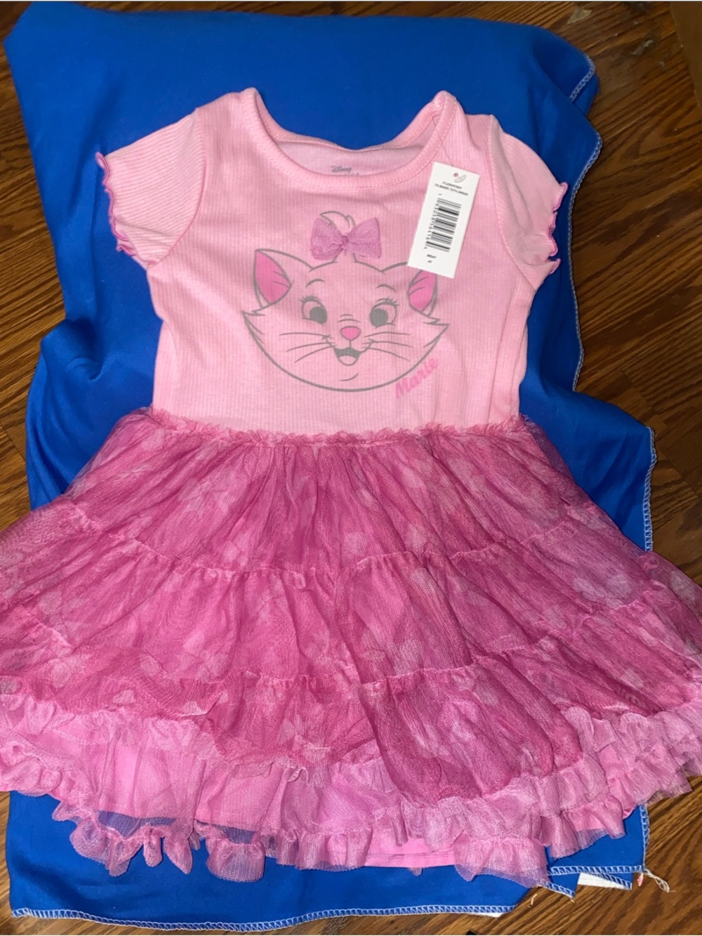 Disney Pink and Hot Pink Marie Tulle Dress